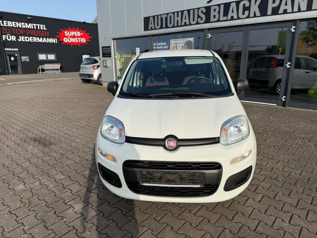 Fiat Panda 2021 из Европы — купить под ключ