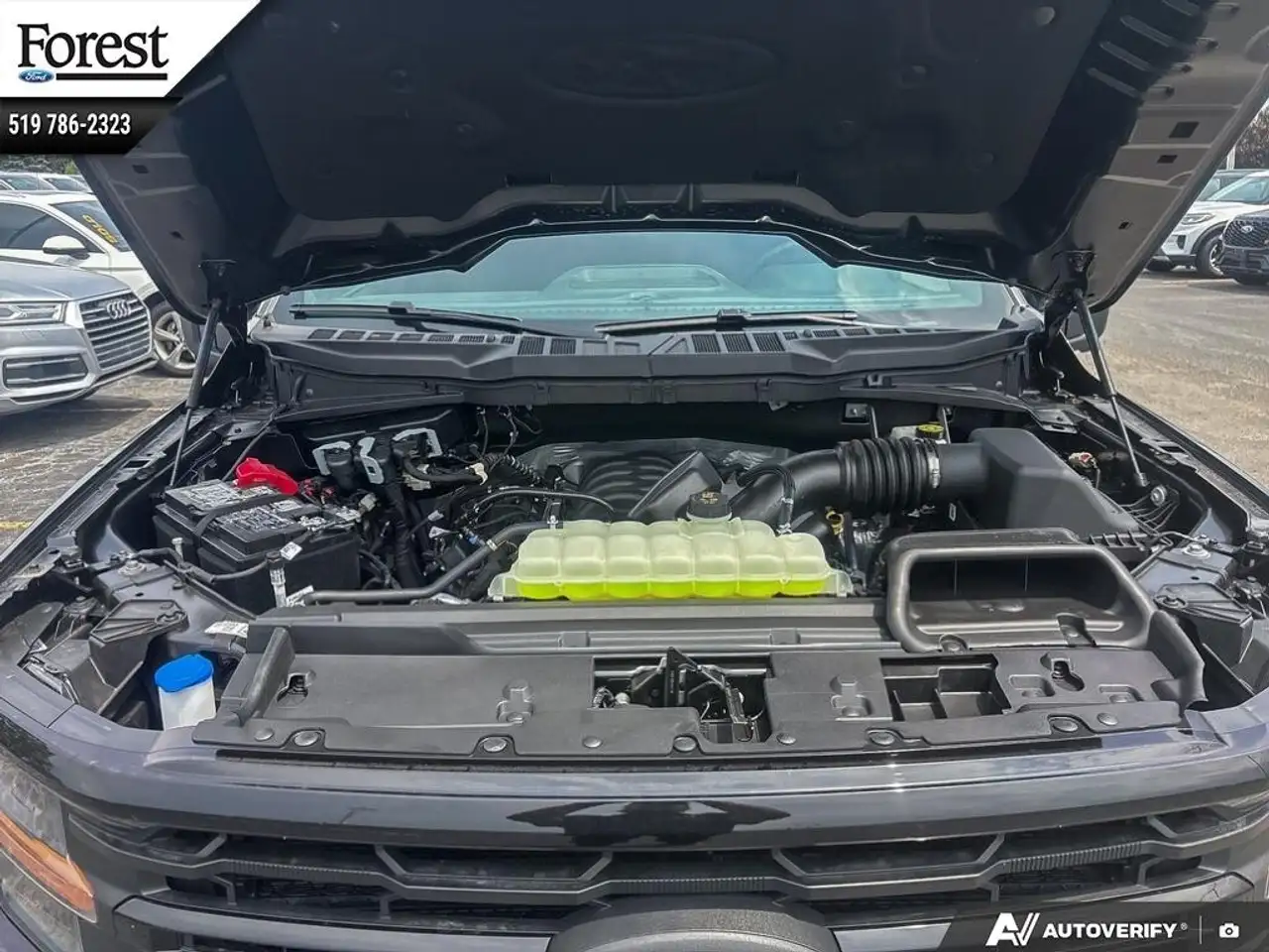 Ford F 150 photo Ford F 150