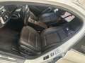 BMW 520 d aut. Touring Business Bianco - thumbnail 12