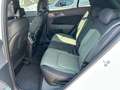 Kia Sportage 1.6 Mild Hybrid TGDi 160cv MT SPECIAL EDITION Bianco - thumbnail 10