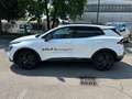 Kia Sportage 1.6 Mild Hybrid TGDi 160cv MT SPECIAL EDITION Bianco - thumbnail 4