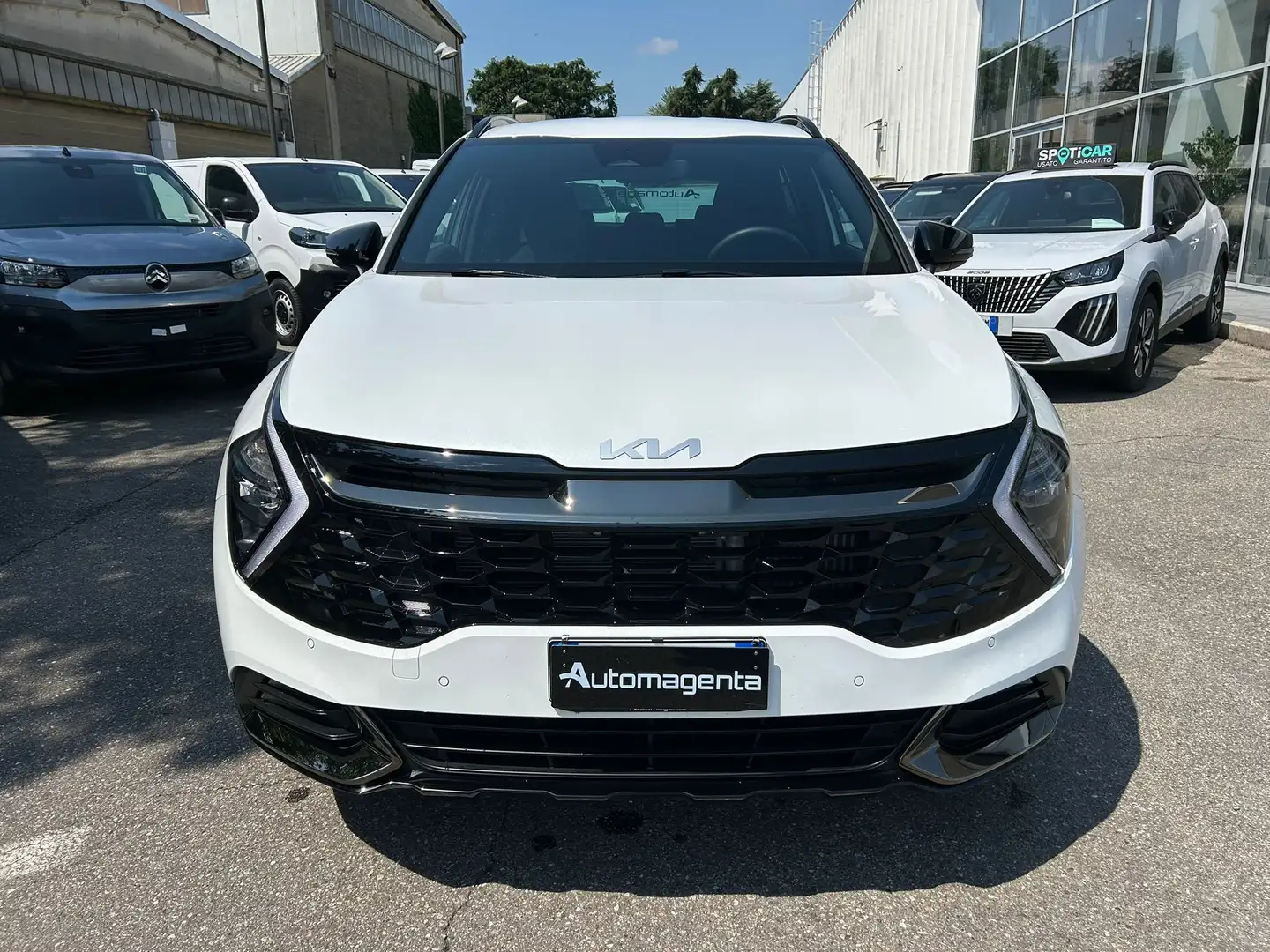 Kia Sportage 1.6 Mild Hybrid TGDi 160cv MT SPECIAL EDITION Bianco - 2