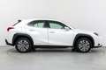 Lexus UX 300e Business City Weiß - thumbnail 7