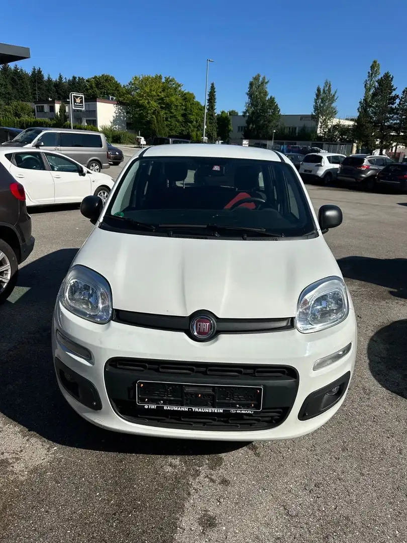 Fiat Panda Blanc - 1