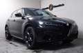 Alfa Romeo Stelvio Competizione Q4 Assitenz Paket 21"*Matri Negro - thumbnail 30