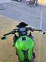 Kawasaki Z 900 Verde - thumbnail 5