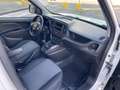 Fiat Doblo Doblò 1.6 MJT 90CV S&S PL-TN Cargo Maxi Easy Bianco - thumbnail 8
