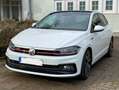 Volkswagen Polo GTI 2.0 TSI OPF DSG Blanco - thumbnail 1