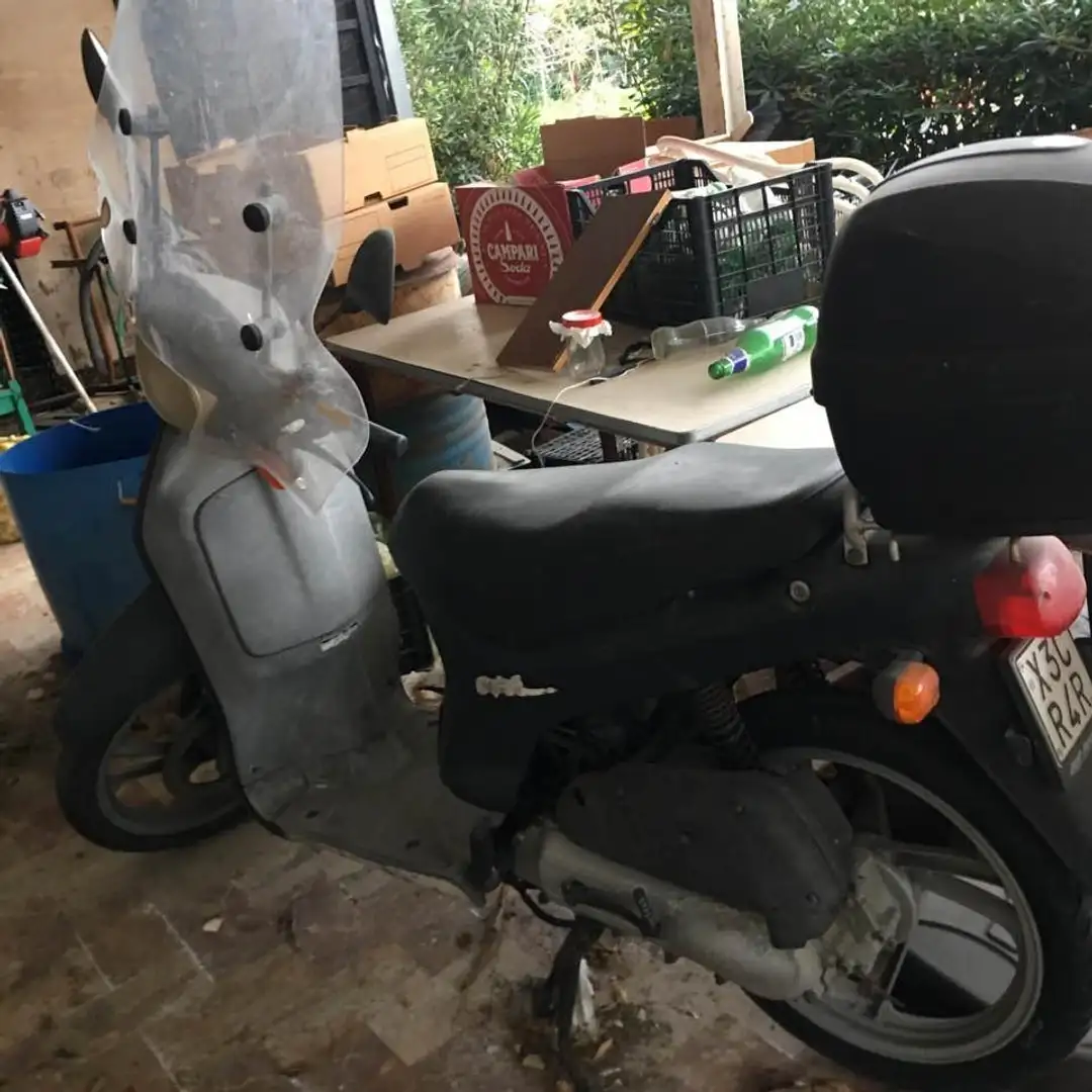 Honda SH 50 AF40 (sh) potenza 3,80 Kw Gri - 1