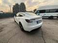Tesla Model 3 Model 3 Standard rwd Plus Bianco - thumbnail 3