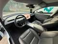 Tesla Model 3 Model 3 Standard rwd Plus Bianco - thumbnail 6