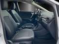 Ford Puma Titanium X WinterPaket Blanc - thumbnail 7