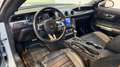 Ford Mustang Fastback 5.0 V8 Mach 1 460cv auto Grigio - thumbnail 11