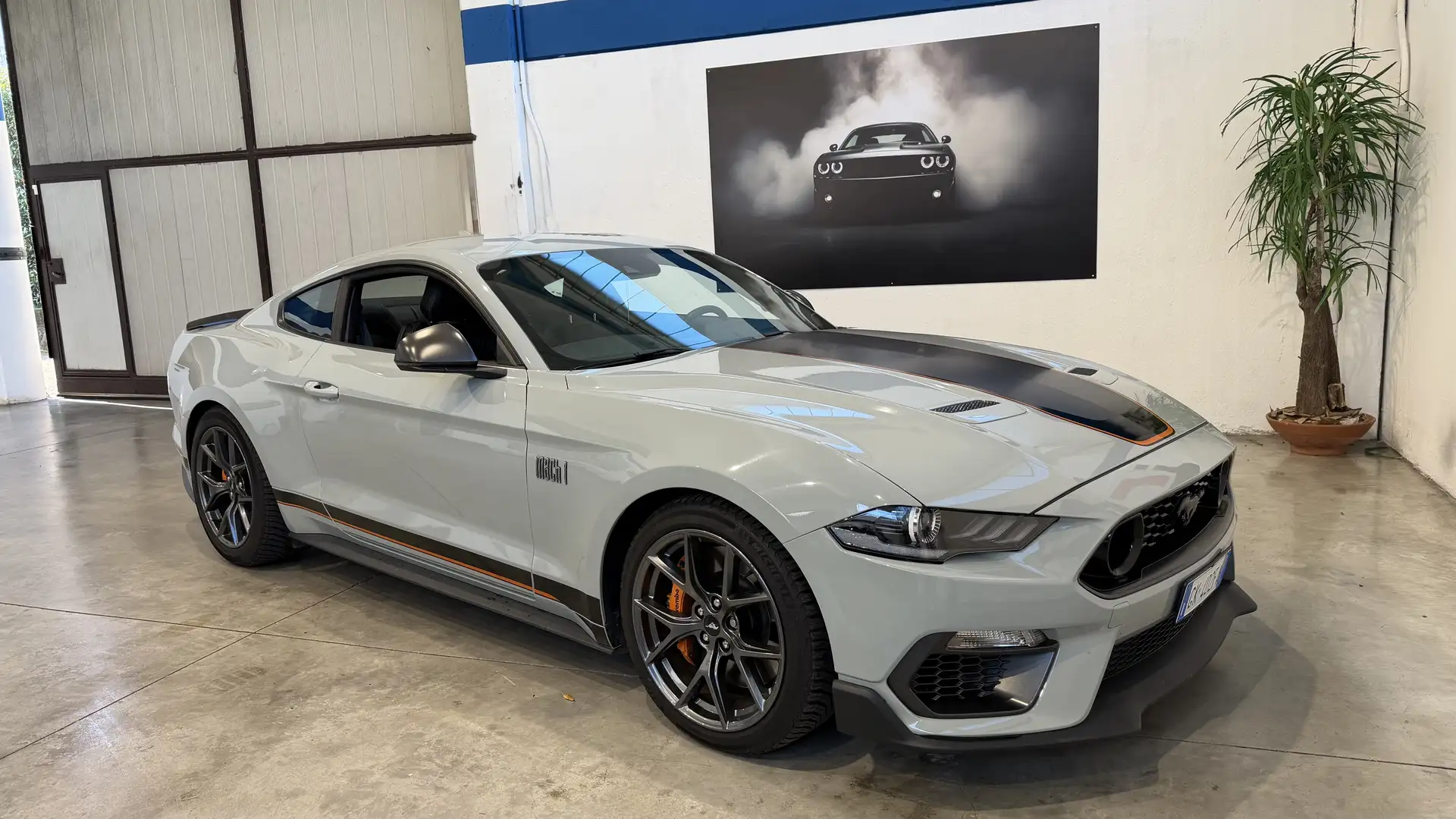 Ford Mustang Fastback 5.0 V8 Mach 1 460cv auto Gris - 2
