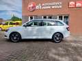 Skoda Fabia 1.0 TSI Stationwagen, parkeerhulp, airco Blanc - thumbnail 6