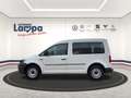 Volkswagen Caddy Kombi EcoProfi 1.0 TSI Klima, AHK Biały - thumbnail 2