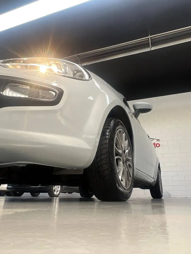 Fiat Punto Evo 5p 1.2 150th s Grau - 2