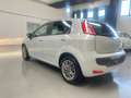Fiat Punto Evo 5p 1.2 150th s Grau - thumbnail 6