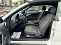 Audi A3 Cabriolet Attraction / 1. Hand Weiß - thumbnail 9