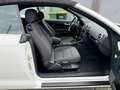Audi A3 Cabriolet Attraction / 1. Hand Weiß - thumbnail 13