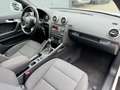 Audi A3 Cabriolet Attraction / 1. Hand Weiß - thumbnail 14