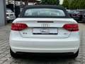 Audi A3 Cabriolet Attraction / 1. Hand Weiß - thumbnail 6