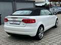Audi A3 Cabriolet Attraction / 1. Hand Weiß - thumbnail 7