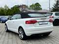 Audi A3 Cabriolet Attraction / 1. Hand Weiß - thumbnail 5