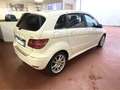 Mercedes-Benz B 200 Classe B - cdi Executive CAMBIO AUTOMATICO Bianco - thumbnail 4