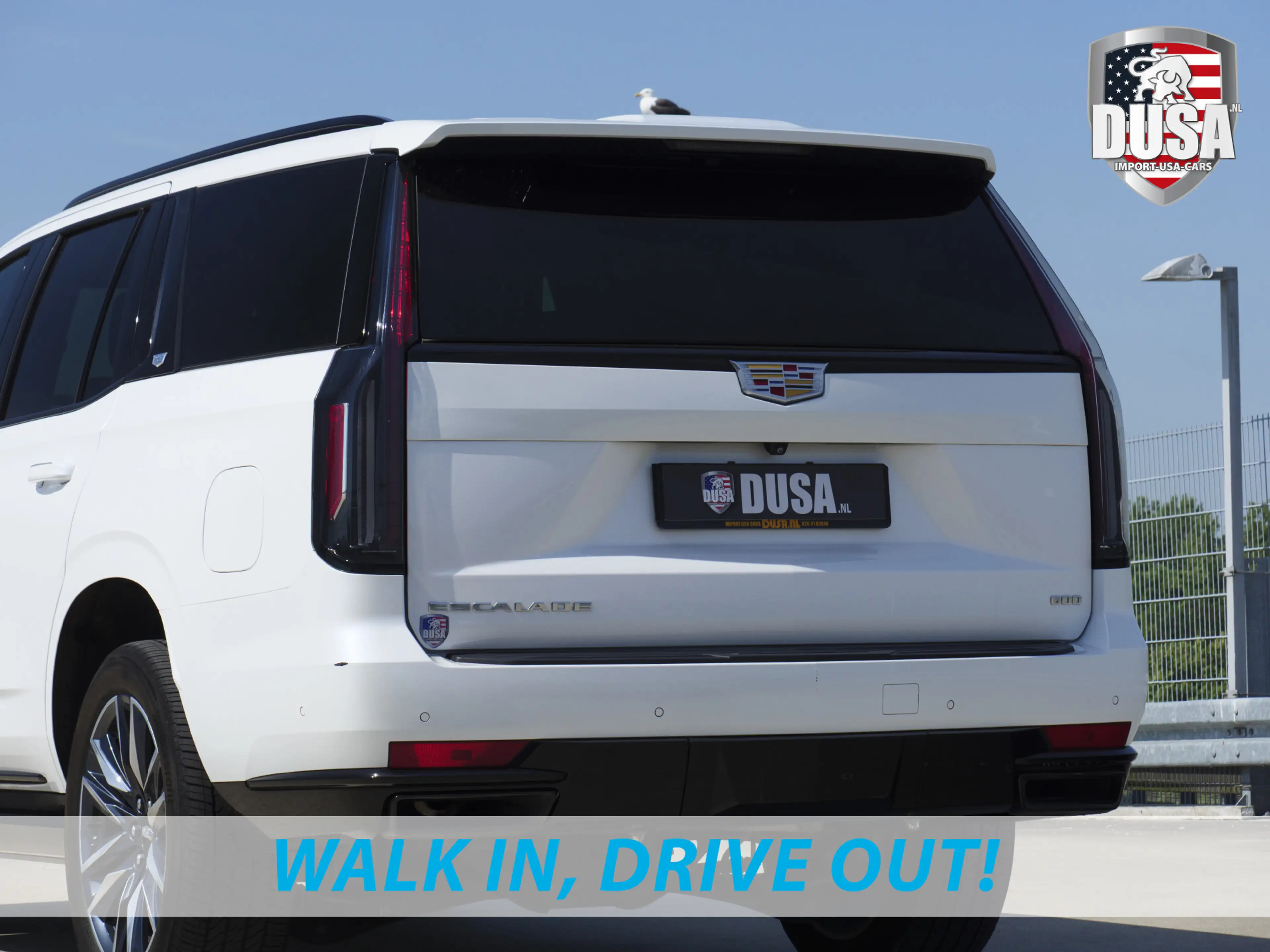 Cadillac Escalade 6.2 V8 | Sport | Luchtvering / Panoramadak / 7 Sea — photo 12