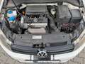Volkswagen Golf VI TRENDLINE KLIMA 1. HAND / UNFALLFREI Weiß - thumbnail 18