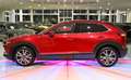 Mazda CX-30 Automatik*LED*SHZ*NAVI*ALU*TEMPOMAT*KAMERA Rot - thumbnail 4