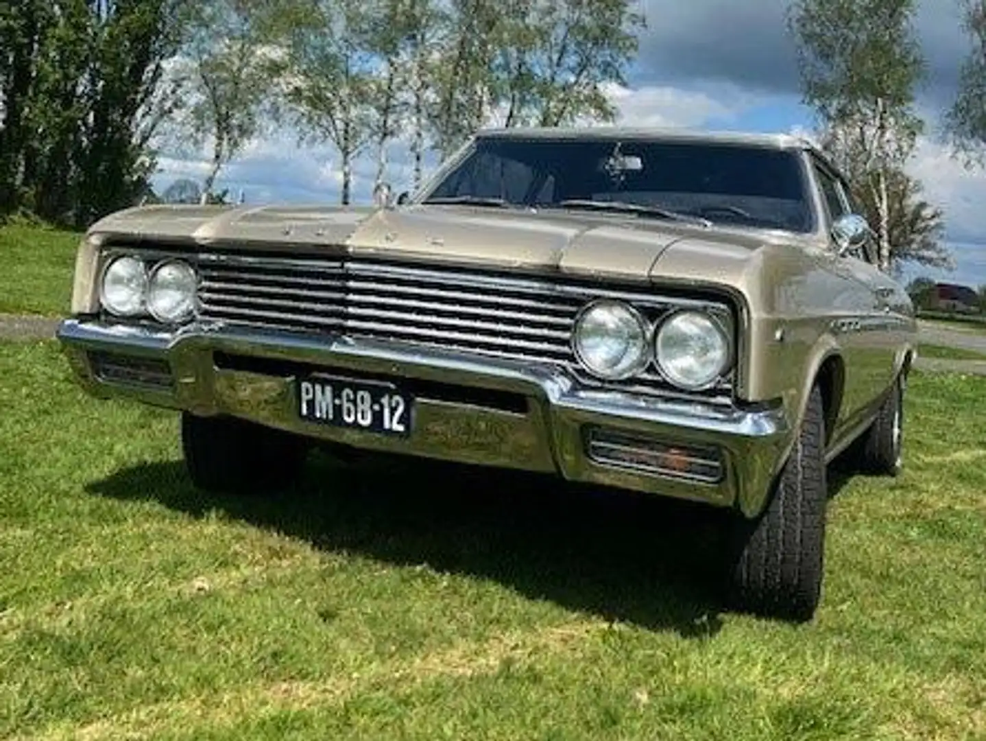 Buick Skylark Coupe Bronce - 2