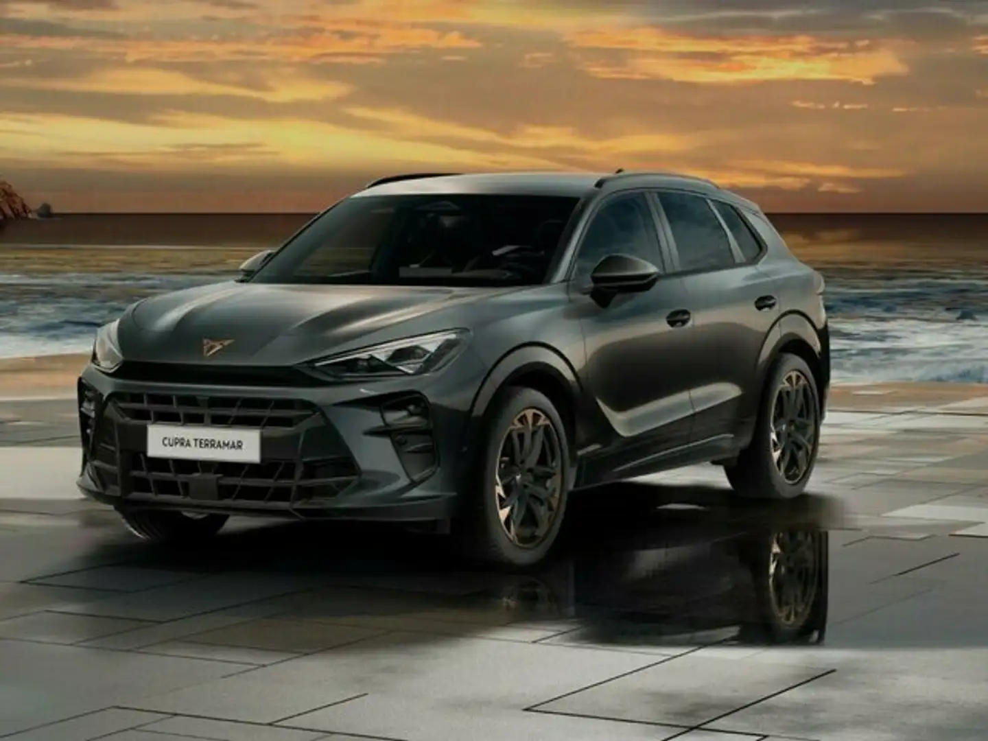 CUPRA Terramar 1.5 eTSI 110 kW Gris - 2
