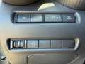 Nissan Juke 1.0 dig-t Business 114cv Grigio - thumbnail 14