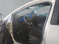 Ford Puma ST-Line X El.Panodach-Navi-B&O-Massagesitze-Klimau Weiß - thumbnail 11