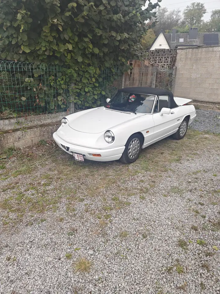 Alfa Romeo Spider