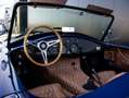 AC Sonstige AC-Cobra TR-TEC | 1965 AC Cobra Repl. | Nieuwe Rou Blau - thumbnail 9