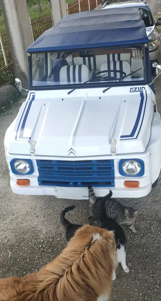 Citroen Méhari Mehari 602, foto 5