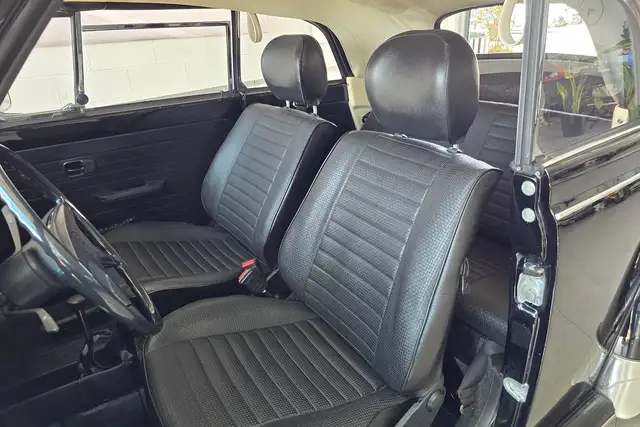 Volkswagen Maggiolino view 12