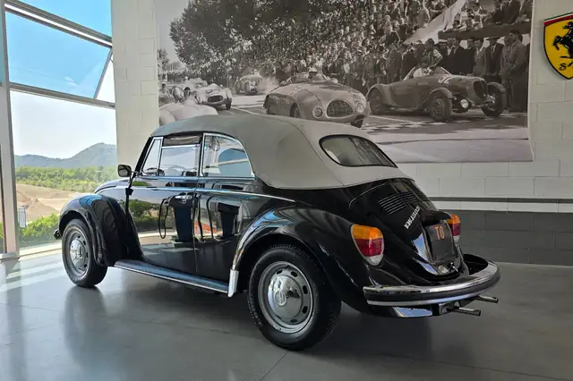 Volkswagen Maggiolino view 5