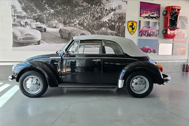 Volkswagen Maggiolino view 4