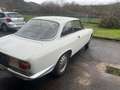 Alfa Romeo Giulia Gt sprint Blanco - thumbnail 7