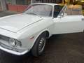 Alfa Romeo Giulia Gt sprint Blanc - thumbnail 2