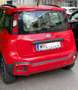Fiat Panda Panda 1,2 70 City Cross City Cross Rot - thumbnail 4