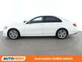 Mercedes-Benz E 350 E 350 d AMG Line Weiß - thumbnail 3