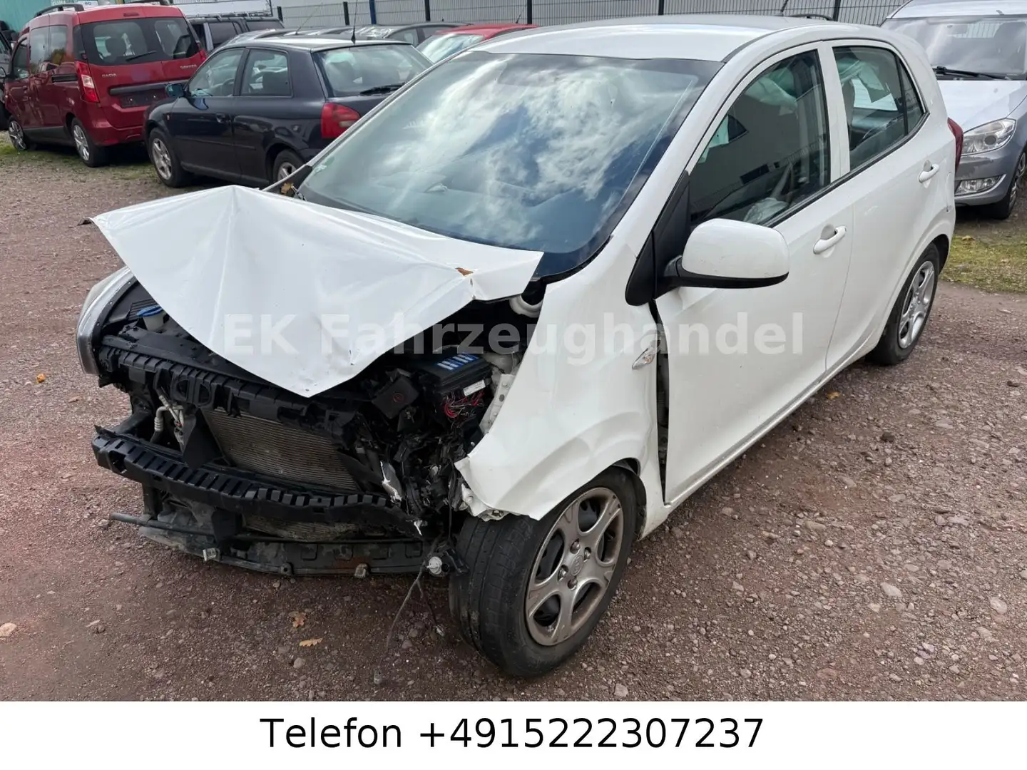 Kia Picanto Edition 7 Weiß - 1