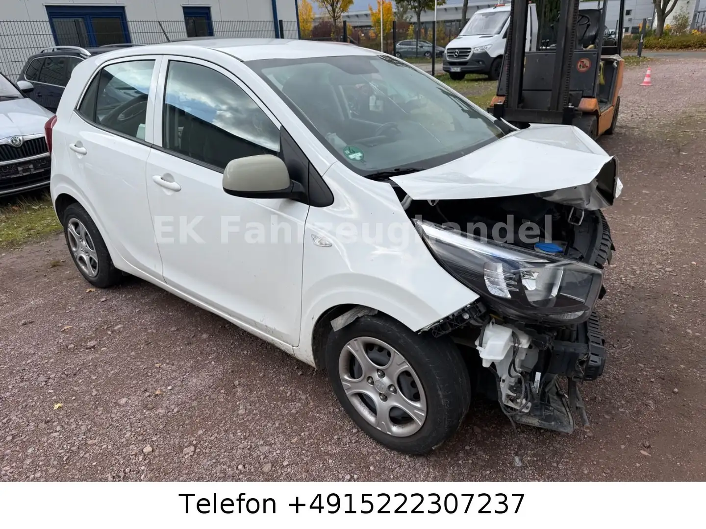 Kia Picanto Edition 7 Weiß - 2