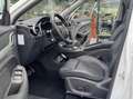 MG ZS EV Luxury 45 kWh 2020 e eigenaar Pano Navi Wit - thumbnail 20