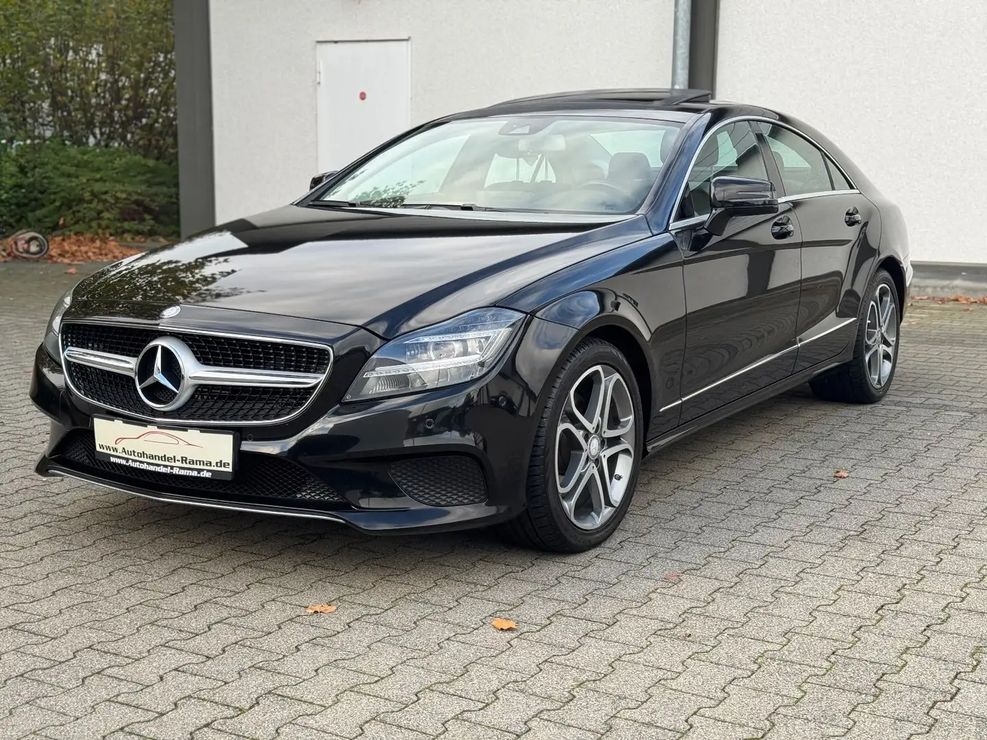 Mercedes-Benz CLS 250 CDI BlueTec 4Matic Navi SHZ Schiebedach Negro - 2